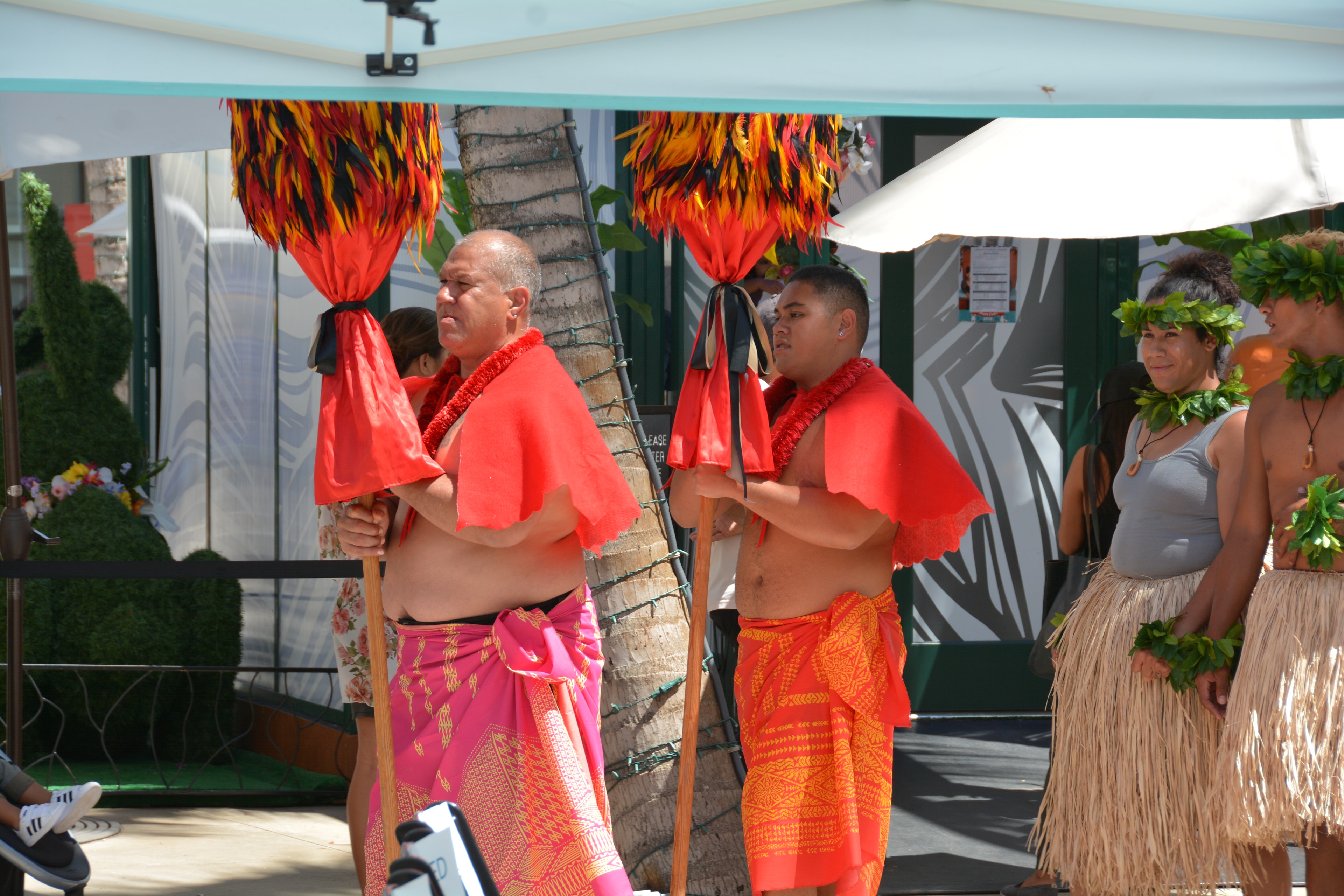 Hawaiian cultural performers carrying feathered kahili staffs