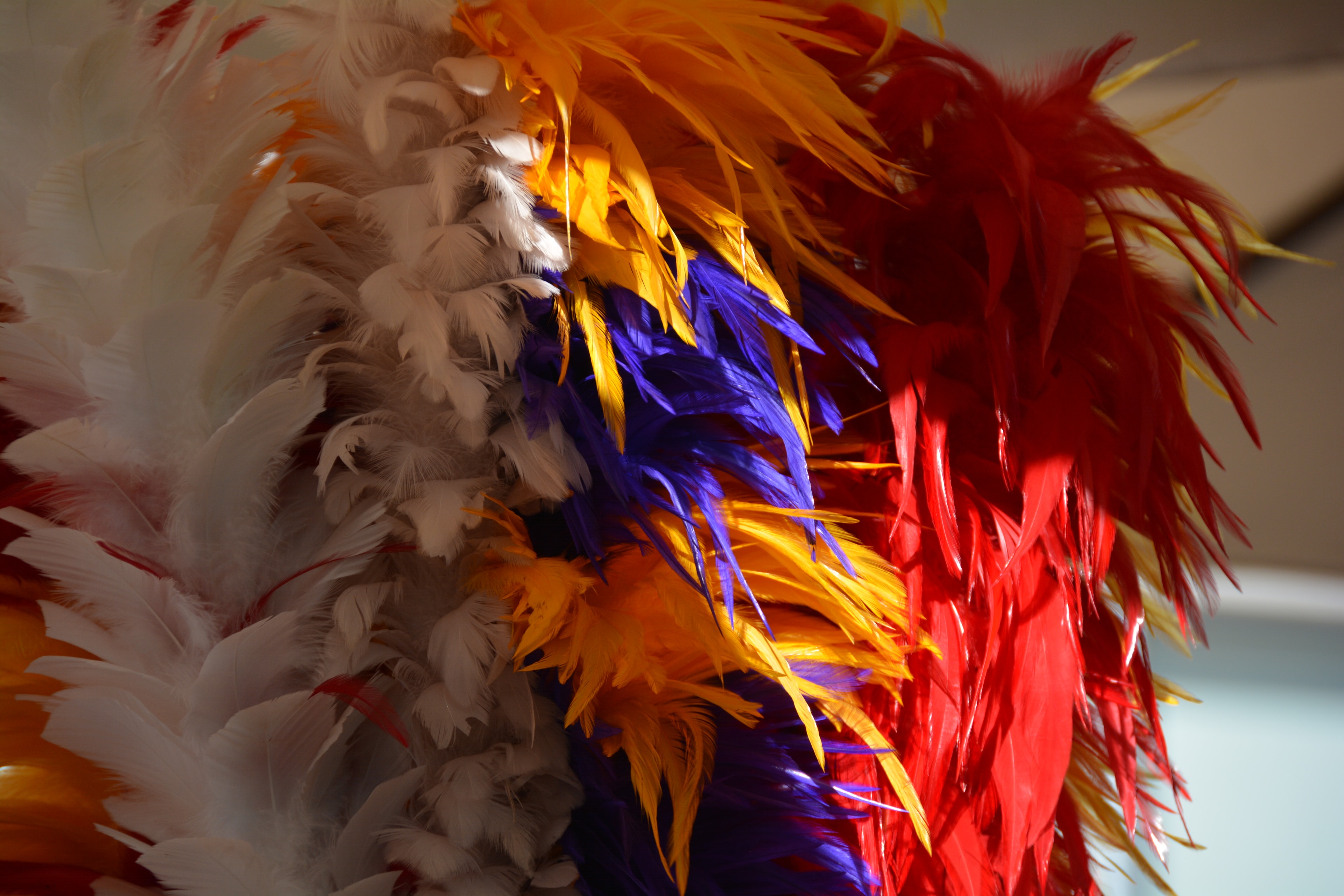 Close-up of colorful feathered kahili staffs in white orange purple and red at Prince Kūhiō Day