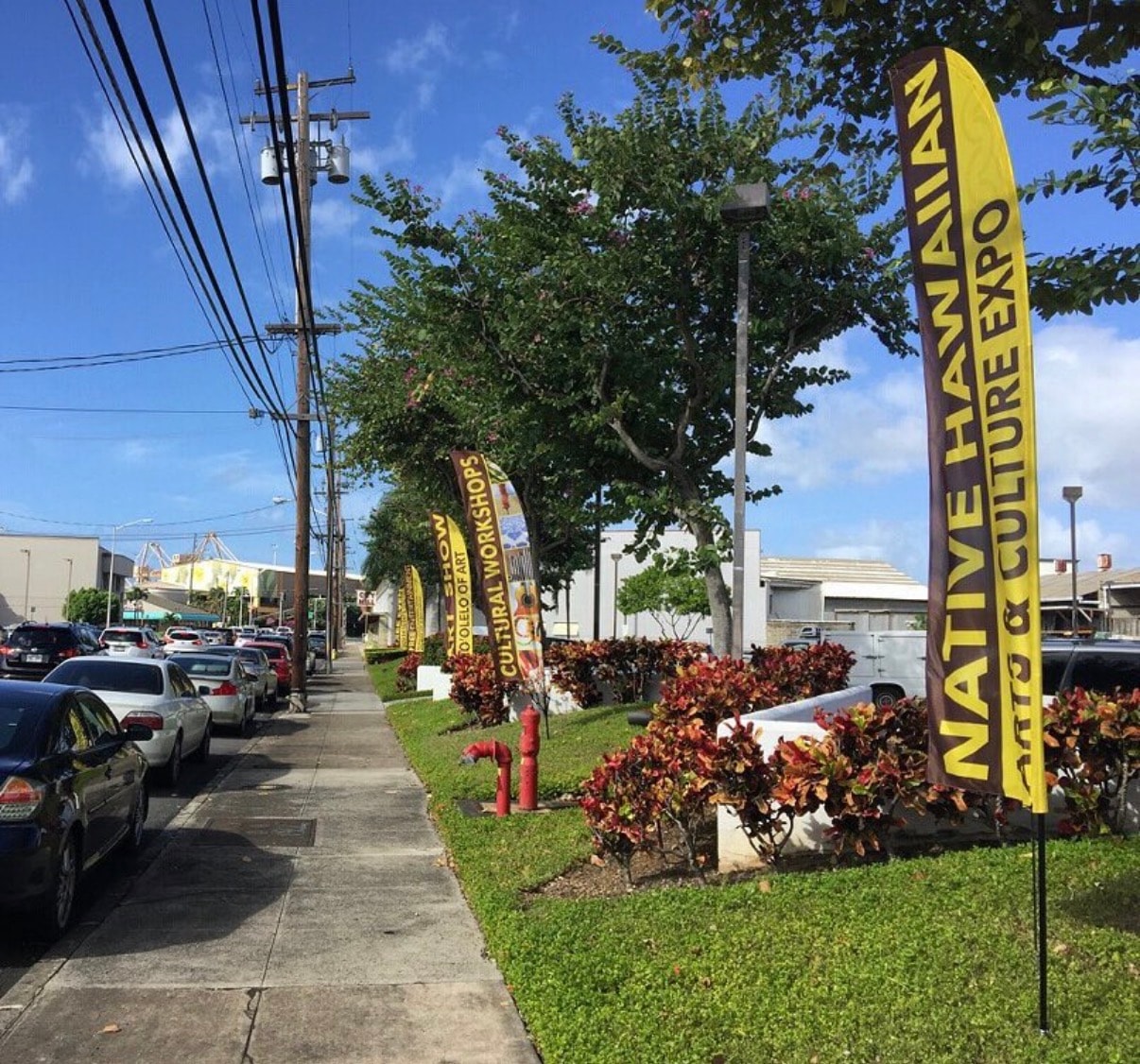 Native Hawaiian culture expo street banners
