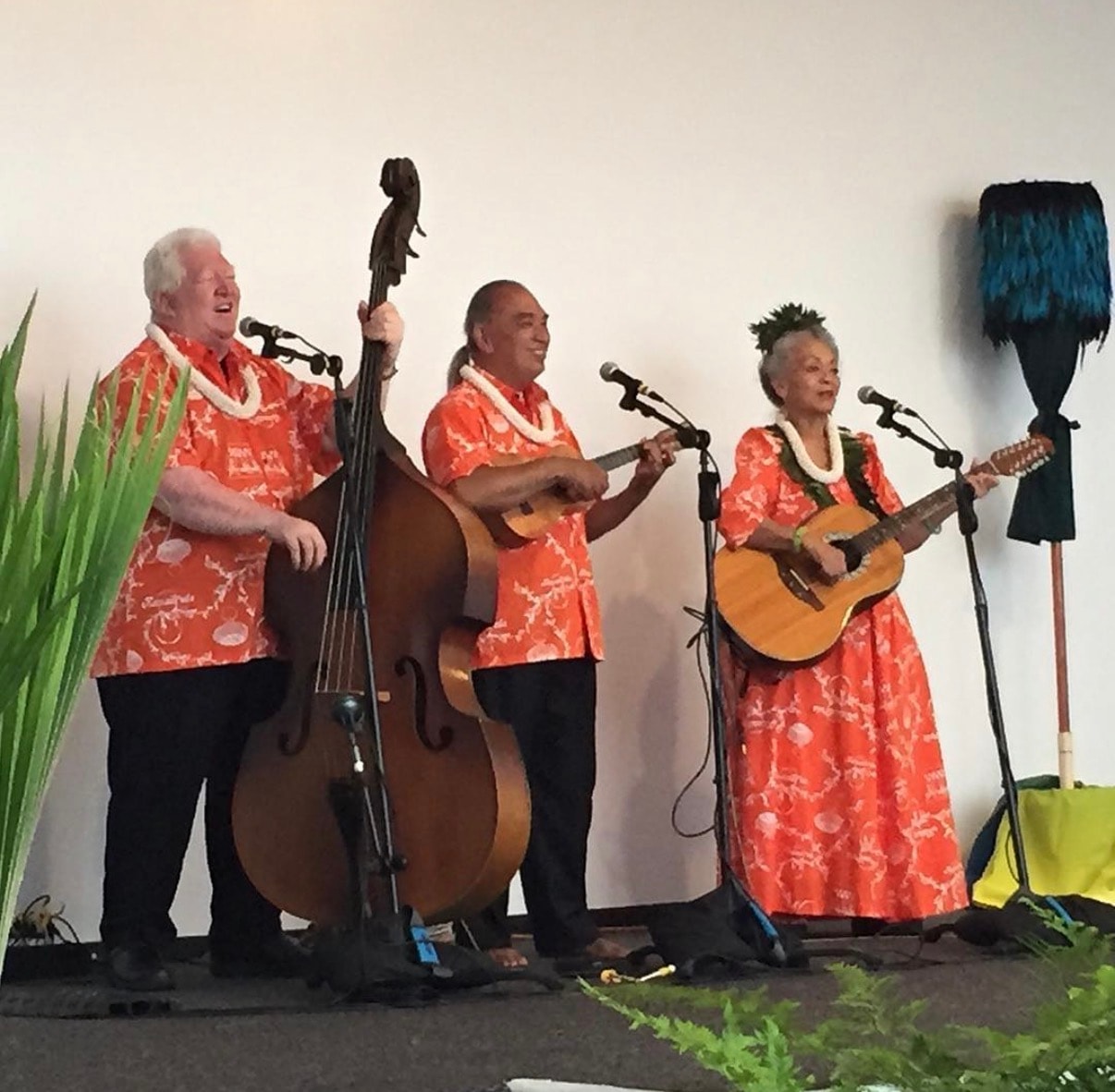 Musicians performing Hawaiian music together