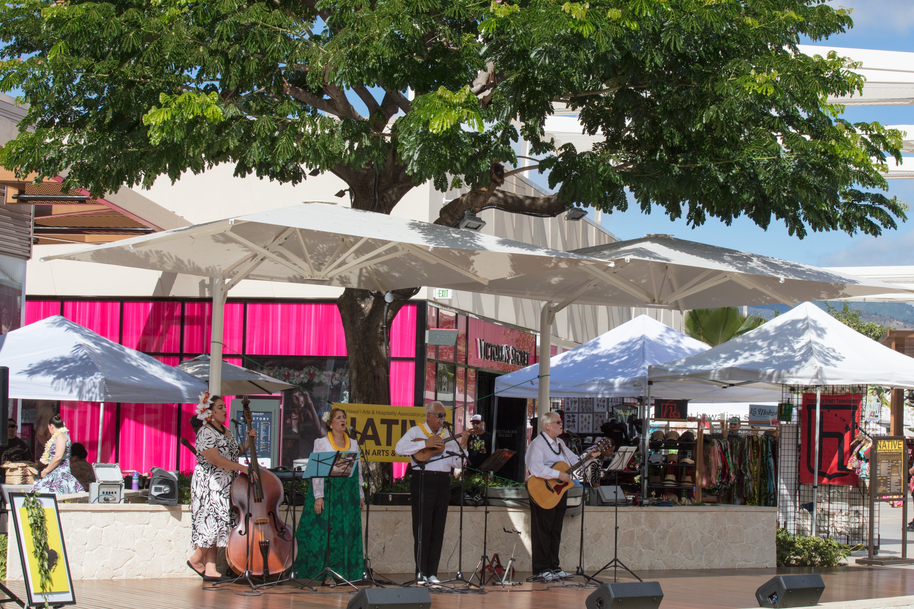 Outdoor market musicians performing under tree