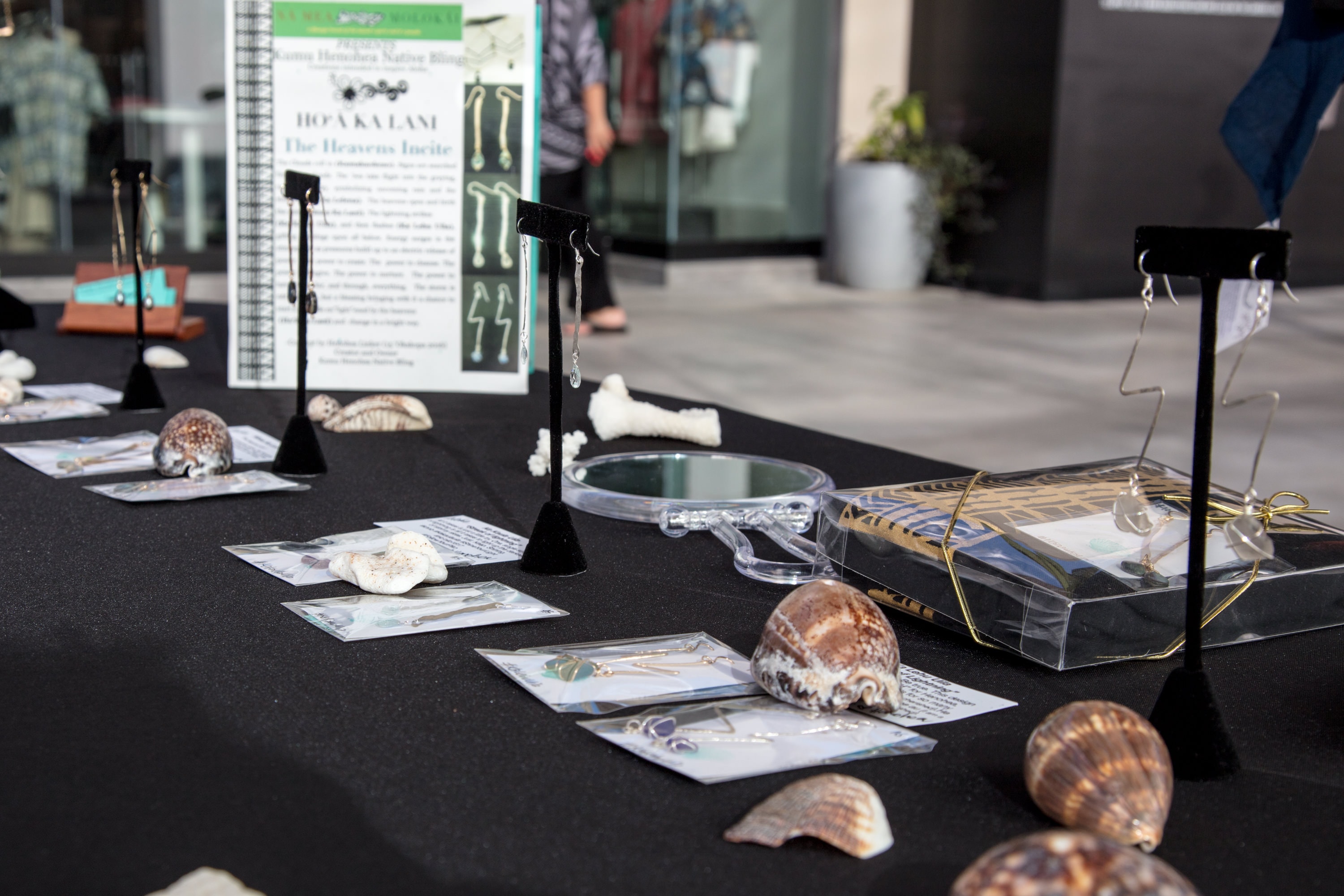 Museum exhibit shells jewelry display table