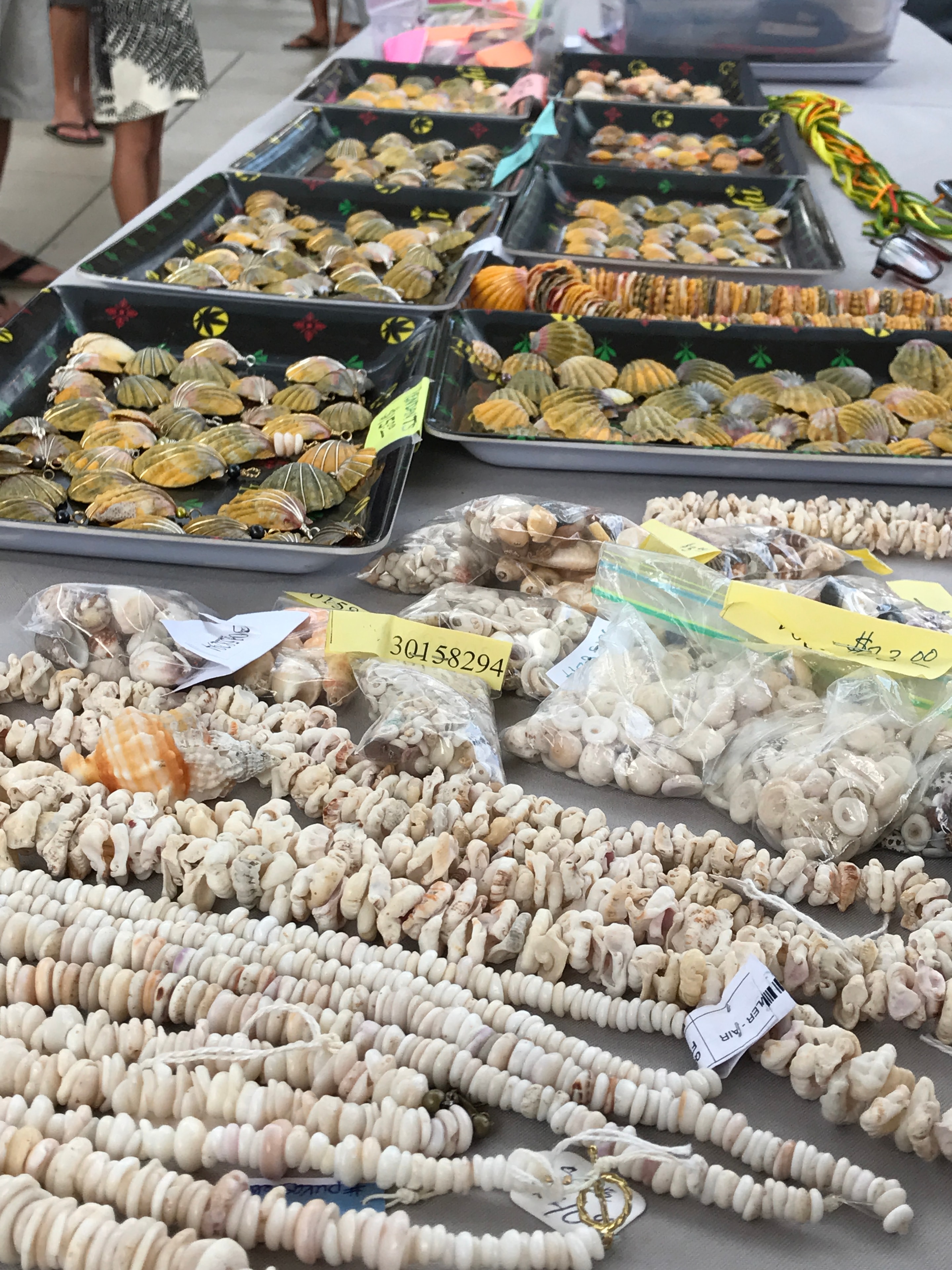 Seashell collection display market vendor