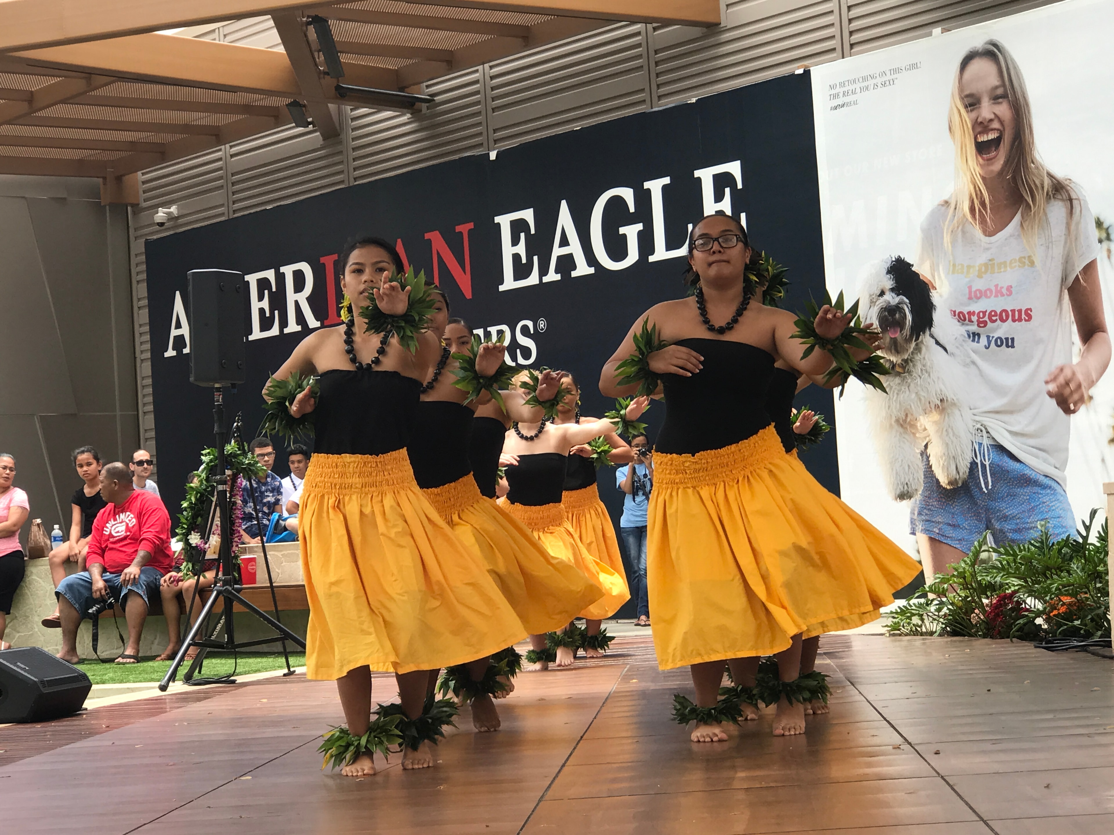 Hawaiian dancers performing traditional hula dance